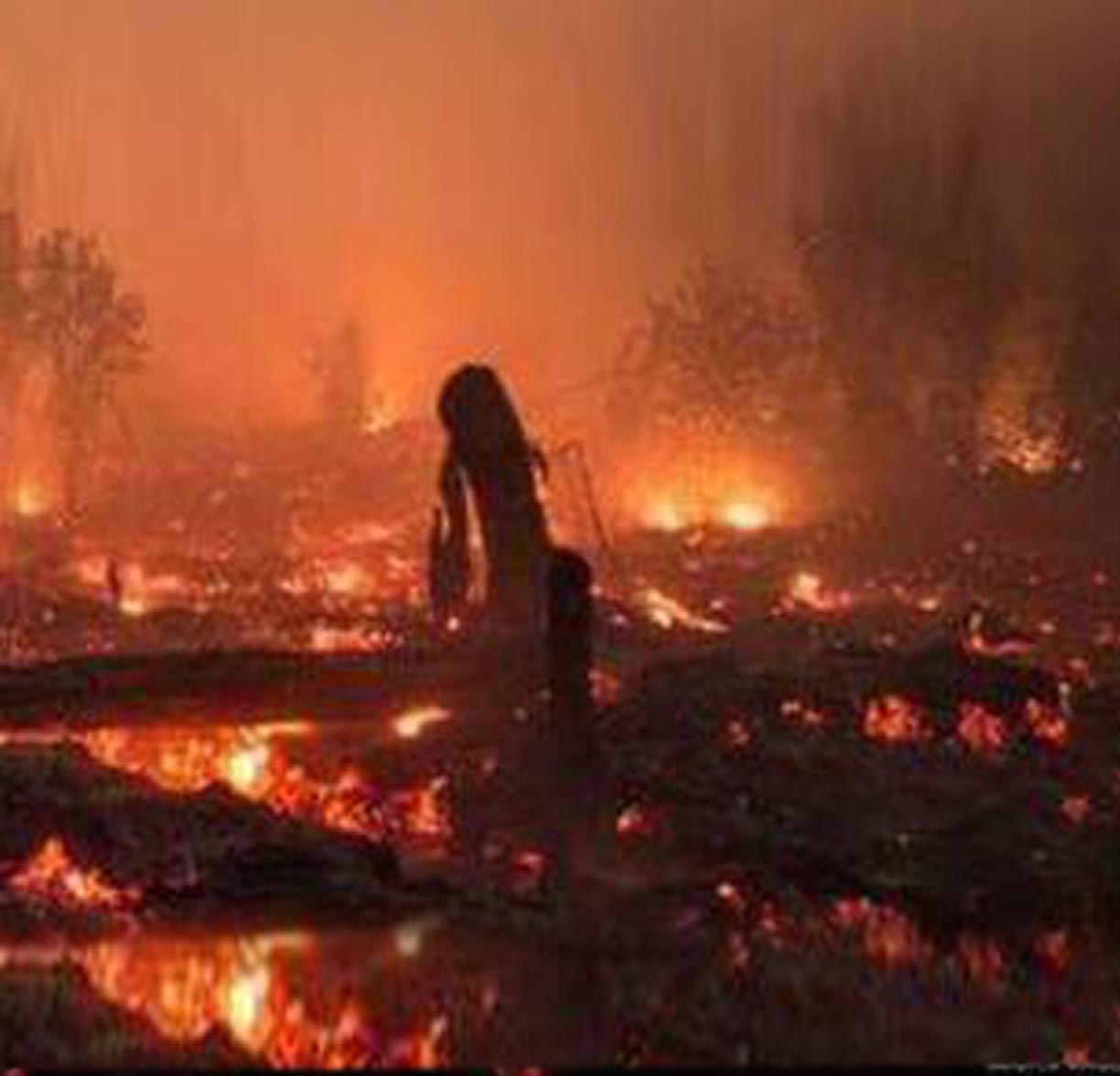 Kebakaran hutan dan penebangan hutan secara liar dapat menyebabkan
